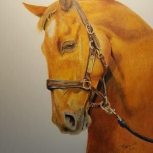 Drawing - Original Artwork by Lorna Beecroft